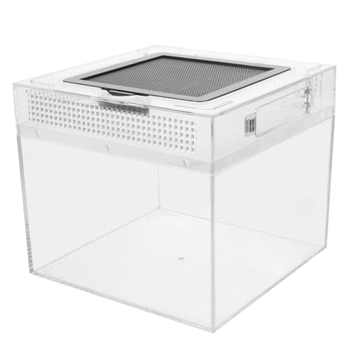 TOGEVAL Praktischer Reptilien Brutkasten mit Kreative Futterbox für Eidechsen Stabile Schildkröten und Reptilien Aufzuchtbox mit Schiebbarer Magnetabdichtung Transparent und Langlebig TOGEVAL Praktischer Reptilien Brutkasten mit Kreative Futterbox für Eidechsen Stabile Schildkröten und Reptilien Aufzuchtbox mit Schiebbarer Magnetabdichtung Transparent und Langlebig von TOGEVAL