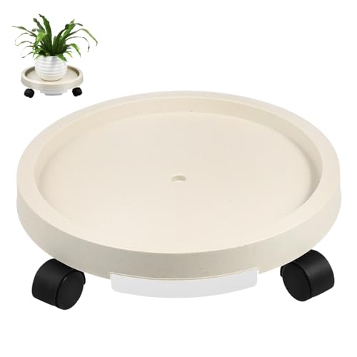 TOGEVAL Rollbarer Pflanzenständer mit Wasserdichtem Extra Dickem Kunststoff Topfuntersetzer Innenmaß und Vielseitig für Innenräume Schont Böden und Erleichtert Pflanzenpflege TOGEVAL Rollbarer Pflanzenständer mit Wasserdichtem Extra Dickem Kunststoff Topfuntersetzer Innenmaß und Vielseitig für Innenräume Schont Böden und Erleichtert Pflanzenpflege von TOGEVAL