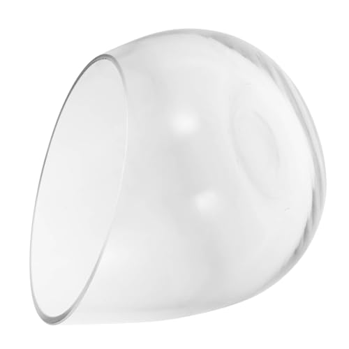 TOGEVAL Schräge Glasvase Transparente Blumenvase Hydrokultur-pflanzgefäß Aus Glas Dekorativer Blumenhalter Für Zuhause Und Büro Als Tischdekoration Oder Wohnzimmer-deko Geeignet von TOGEVAL