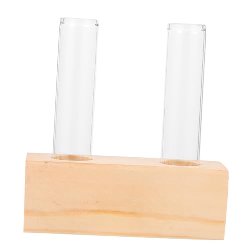 TOGEVAL Transparente Hydrokultur Vase für Zimmerpflanzen Propagation Station mit Klarem Glas Dekoratives Tisch Terrarium Runde Ecken für Home Office und Wohnzimmerdekoration von TOGEVAL