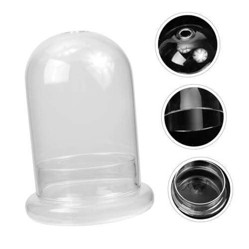 TOGEVAL Transparente Micro Landscape Glasflasche mit Öffnung Multifunktionaler Nachhaltiger Terrarium Behälter für DIY Mooslandschaften Langlebig und Leicht zu Reinigen für Pflanzen und von TOGEVAL