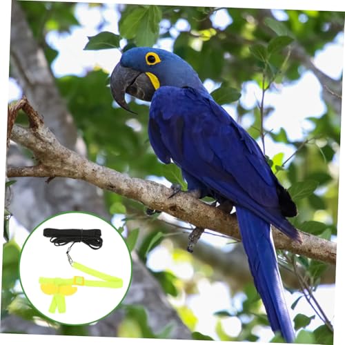 TOGEVAL Verstellbares Vogelgeschirr Trainingsseil Elastische Papageien Flugleine Sicheres Haustiergeschirr Für Kleine Vögel Und Papageien Geeignet TOGEVAL Verstellbares Vogelgeschirr Trainingsseil Elastische Papageien Flugleine Sicheres Haustiergeschirr Für Kleine Vögel Und Papageien Geeignet von TOGEVAL