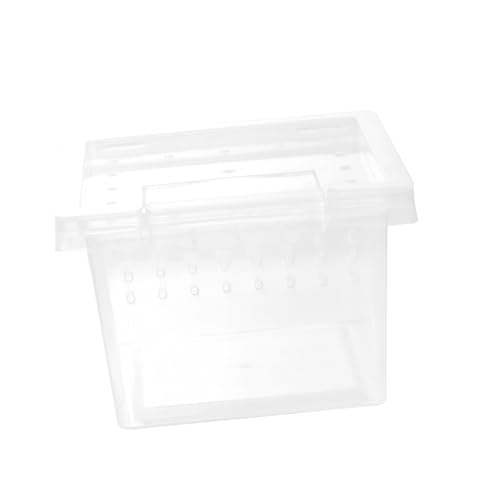 TOKIDNY Reptilien Aufzuchtdose Transparent Kunststoff Brutbox für Spinnen Eidechsen Skorpione Gecko Terrarium Futterbox Langlebig Wetterbeständig Temperaturfest von TOKIDNY