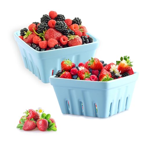 TOLIDA 2 Stück Quadratisches Beerenkorb aus Keramik, Obstschale mit Löchern, Beerensieb für Obst und Gemüse Groß Blau von TOLIDA