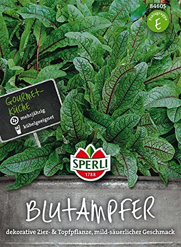 Blutampfer, SPERLING's Essbare Staude von TOM-GARTEN
