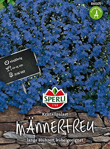 Männertreu, Sperling´s Tiefblauer Kristall von TOM-GARTEN