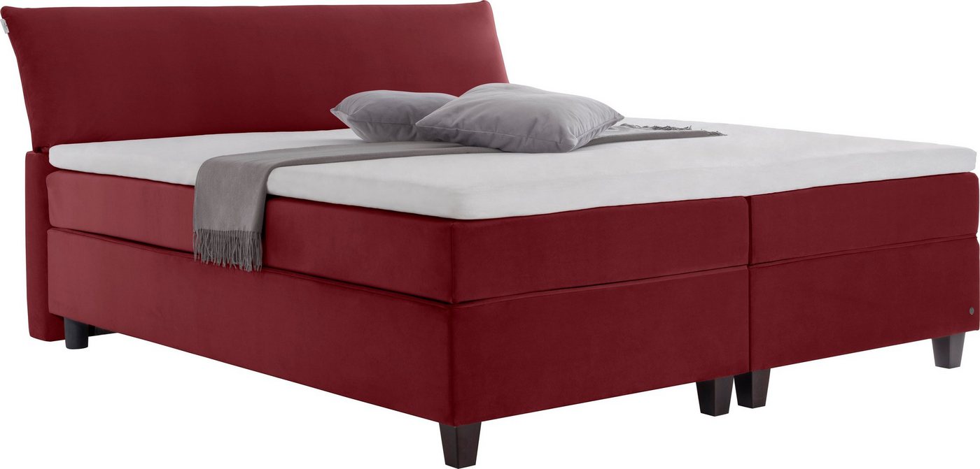 TOM TAILOR HOME Boxspringbett COLOR BOX, ohne Print von TOM TAILOR HOME