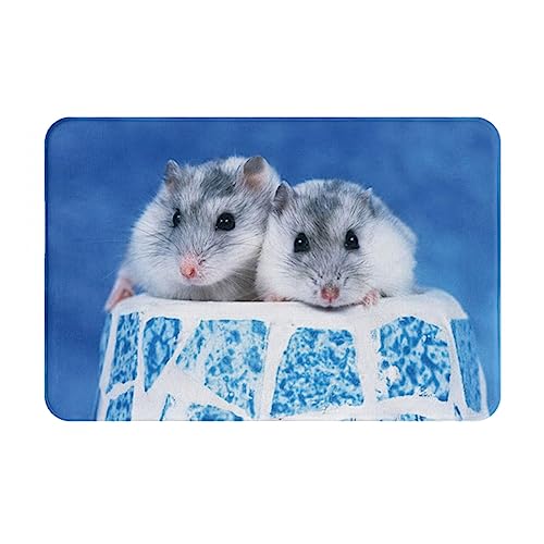 TOMPPY Fußmatte mit Hamster-Motiv, waschbar, rutschfest, weich, saugfähig, für Wohnzimmer, Schlafzimmer, Badezimmer, 60 x 40 cm von TOMPPY