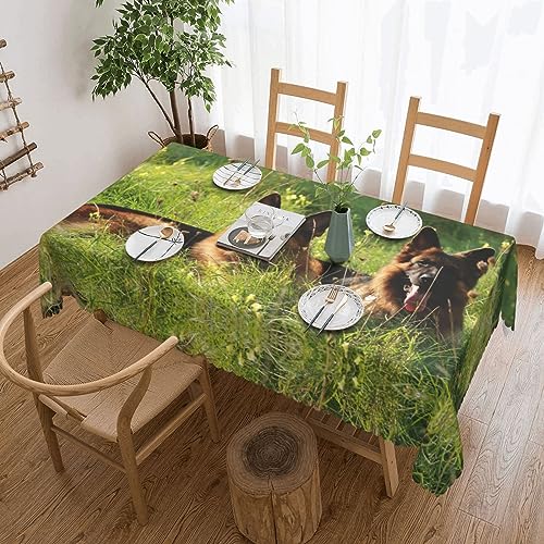 TOMPPY Rechteckige Tischdecke, Deutscher Schäferhund, bedruckt, waschbar, Polyester, wasserdicht, auslaufsicher, knitterfrei, Tischdecke für Esstisch, Buffet, Partys, Camping, 137 x 183 cm von TOMPPY