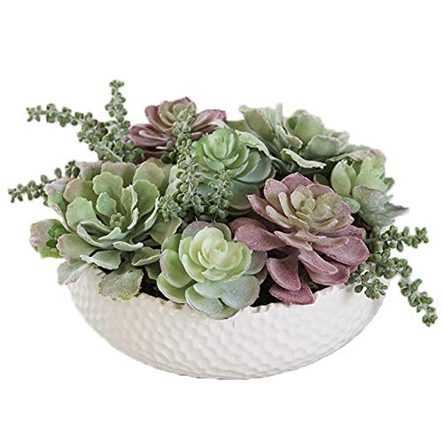 TOMYEUS Kunstpflanzen Home Decor-Büro-Dekor Faux Sukkulenten weißer runder Keramik-Töpfe mit Realistic Succulents Handcrafted Gefälschte Pflanze, 9.1 „x 5.9“ Gefälschte Topfpflanzen von TOMYEUS