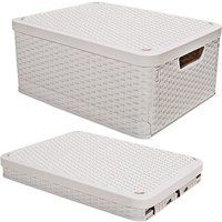 Tonchean - Faltbare Aufbewahrungsbox mit Deckel, 2er-Pack, 43,9 x 33 x 24,4 cm, Kunststoff-Aufbewahrungsbox mit Griff, stapelbarer gewebter von TONCHEAN