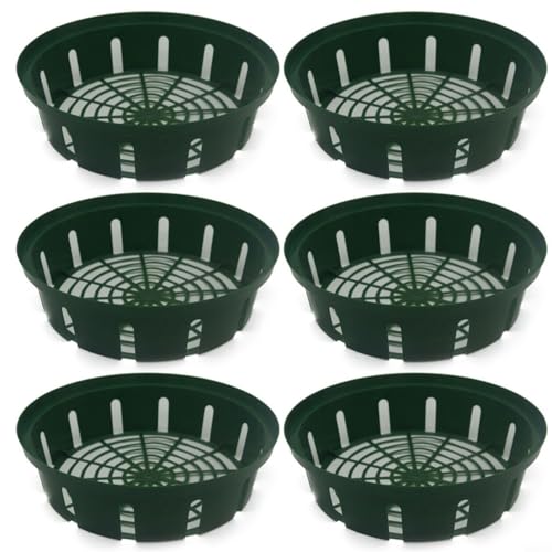 TONIXY Blumenzwiebelkörbe, Pflanzkorb für Blumenzwiebeln, 6 Stück, Kunststoff-Anzuchtschalen, 26 × 22 x 6,5 cm, grüne Pflanzbehälter für Gartenzwiebelpflanzung TONIXY Blumenzwiebelkörbe, Pflanzkorb für Blumenzwiebeln, 6 Stück, Kunststoff-Anzuchtschalen, 26 × 22 x 6,5 cm, grüne Pflanzbehälter für Gartenzwiebelpflanzung von TONIXY