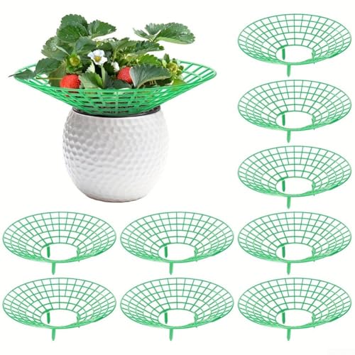 TONIXY Kunststoff-Erdbeer-Ständer, 10 Stück, Garten-Pflanzenregale zum Halten von Obst vom Boden, Schutz vor Schädlingen und zur Unterstützung der Reifung für Erdbeeren und Tomaten TONIXY Kunststoff-Erdbeer-Ständer, 10 Stück, Garten-Pflanzenregale zum Halten von Obst vom Boden, Schutz vor Schädlingen und zur Unterstützung der Reifung für Erdbeeren und Tomaten von TONIXY