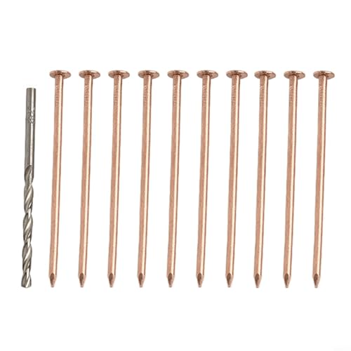 TONIXY Kupfernägel zum Töten von Baumstumpf, Kupfernägel zum Töten von Bäumen, Wurzelstumpfentfernung, Spikes, Hardware-Bäume, 10 Stück mit Bohrer von TONIXY