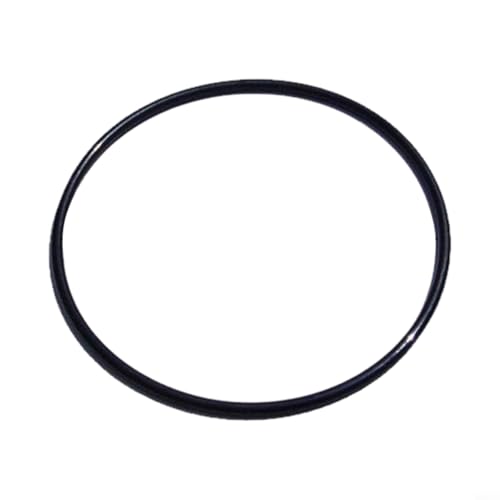 TONIXY O-Ring für Vorfilterabdeckung, O-Ring-Dichtung für Intex für SPS75 für SPS100 für SPS25 für SPS50 Filterpumpe 040930 Durchmesser 79 mm (1 Stück) von TONIXY