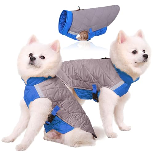 TONYFY Hunde Wintermantel, Kuschelig warme reflektierende Hundejacke, mit Bauchschutz Hundebekleidung Outfit Hundemantel für Grosse Hunde, für kleine/mittlere Hunde, Grau-XL von TONYFY