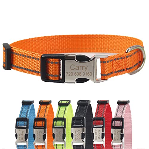 TONYFY Individuelle Nylon Hundehalsband, Personalisierte Reflektierende Haustier Halsband, Benutzerdefinierte Namen und Telefon Tag, mit Leine, für Große, Mittlere und Kleine Hunde (Orange, S) von TONYFY