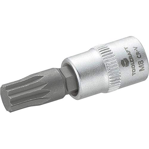 TOOLCRAFT 816197 Innen-Vielzahn (XZN) Steckschlüssel-Bit-Einsatz 8 mm 1/4 (6.3 mm) von TOOLCRAFT