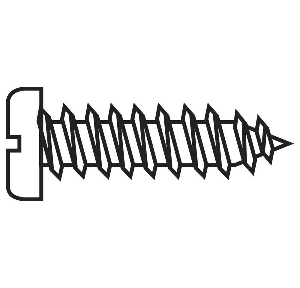 TOOLCRAFT Blechschraube TOOLCRAFT 839814 Zylinderblechschrauben 2.9 mm 9.5 mm Schlitz DIN 797 TOOLCRAFT Blechschraube TOOLCRAFT 839814 Zylinderblechschrauben 2.9 mm 9.5 mm Schlitz DIN 797 von TOOLCRAFT