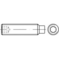 TOOLCRAFT TO-5414769 Gewindestift M20 45mm 50St. von TOOLCRAFT