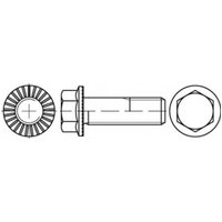 TOOLCRAFT TO-5444541 Sechskantschrauben M12 45mm Außensechskant 88913 100St. von TOOLCRAFT