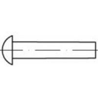 TOOLCRAFT TO-5448699 Halbrundniete 4mm 1000St. von TOOLCRAFT