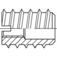TOOLCRAFT TO-5454558 Einschraubmutter M5 DIN 7965 Messing 100St. von TOOLCRAFT