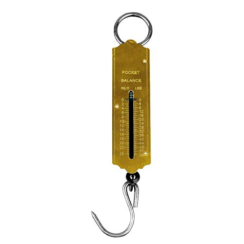 TOOLSTAR Federwaage, 25 kg, mechanische Federwaage mit Aufhängeschlaufe für Küche und Endgebrauch (1 Stück) von TOOLSTAR