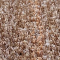 Teppich Shaggy Flokatiteppich Gold 100 x 180 cm von TOP MULTI