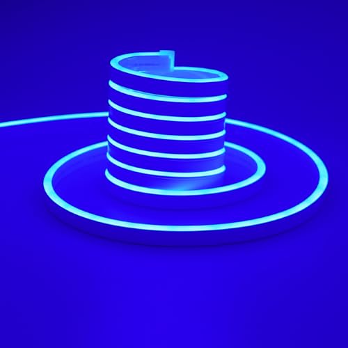 TOPAI Neon Blau LED Streifen 5M Wasserdicht IP65, 12V Blau LED Strip Aussenbereich, DIY Flexibel LED Band Schneidbar für Küche Wohnzimmer Deko (Das Produkt enthält kein Netzteil) von TOPAI