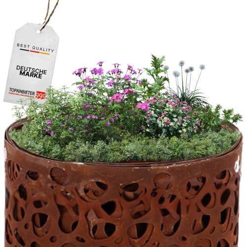 TOPANBIETER 999 - Rasenkante Rost Tupfen - 480 cm x 20 cm - Flexible Beetbegrenzung aus Weichstahl - dekorative Raseneinfassung - aufgerollt - witterungsbeständig Rasenkantenbegrenzung von TOPANBIETER 999