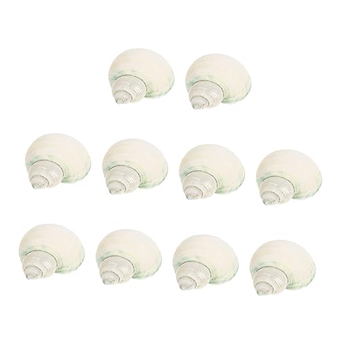 TOPBATHY 1 Satz Muschel-einsiedlerkrebs-Schale Muscheln Dekorationen Muschelmaterialien Muschelschalen Aquarium-muscheldekore Tank Hülse Muschel-Ornament-Muschel Natur Muschel Weiß 10 Stück von TOPBATHY