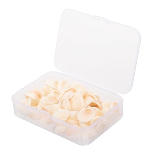 TOPBATHY Deko Muscheln Zum Basteln Kleine Natur Muscheln Für DIY Schmuck Und Aquarium Dekoration Ornamente Zum Dekorieren Für Haus Und Schreibtisch von TOPBATHY