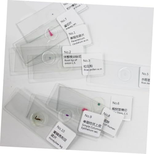 TOPBATHY 10 Stück Teiliges Mikroskop Objektträger Set mit Biologischen Präparaten aus Glas Sichere Kanten für Schüler und Naturkundliche Experimente Fördert Interesse an Naturkunde und von TOPBATHY