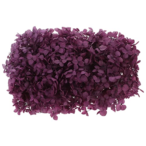 TOPBATHY 20g Echte Getrocknete Natürliche Trockenblumen-Set Hortensien-dekorationsset von TOPBATHY