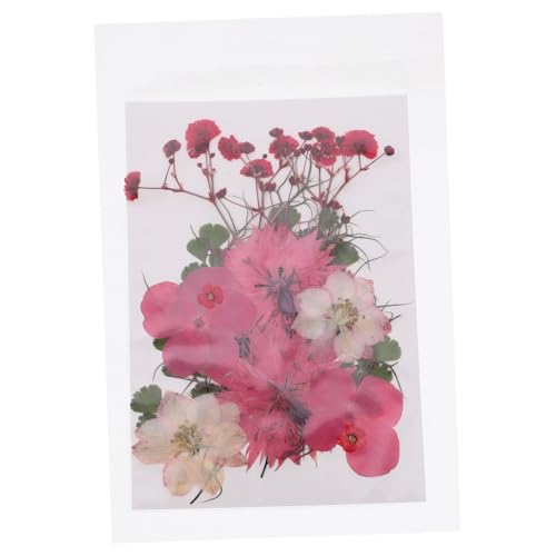 TOPBATHY 30 Stück Teiliges DIY Getrocknete Echte Blumen für Epoxidharz Bastelmaterialien Natürliche Blütenmix für Handwerk Wohnaccessoires Tisch Hochzeitsdeko Romantische Geschenkidee von TOPBATHY