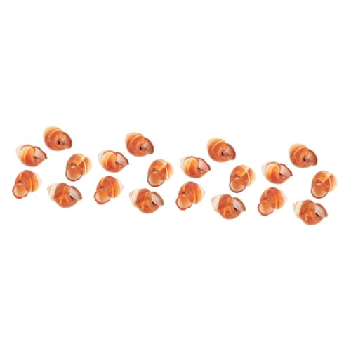 TOPBATHY 4 Sätze Schneckenhaus Dekorative Schneckenhäuser Essbare Schneckenhäuser Natürliche Schneckenschalen Natürliche Schneckenhäuser Dicke Schneckenschalen Schneckengericht 5 Stücke * 4 von TOPBATHY