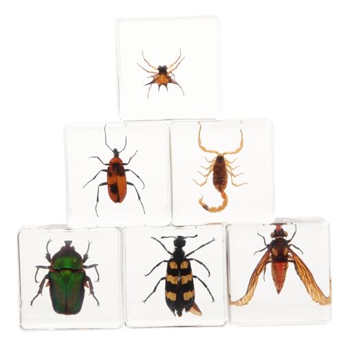 TOPBATHY 6 Stück Teiliges Insekten schreibtischdekor aus Transparentem Kunststoff Multifunktionale Tischornamente mit Natürlichem Design Geeignet für Wohn Bürodekoration Dekorative TOPBATHY 6 Stück Teiliges Insekten schreibtischdekor aus Transparentem Kunststoff Multifunktionale Tischornamente mit Natürlichem Design Geeignet für Wohn Bürodekoration Dekorative von TOPBATHY