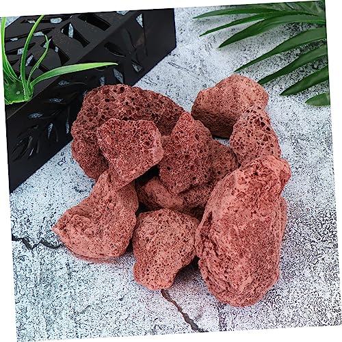 TOPBATHY Bio Filtermedium Lavasteine Vulkanstein Aquarium Filterstein für Klare Wasserqualität und Natürliche Dekoration im Teich Garten und Blumentöpfen TOPBATHY Bio Filtermedium Lavasteine Vulkanstein Aquarium Filterstein für Klare Wasserqualität und Natürliche Dekoration im Teich Garten und Blumentöpfen von TOPBATHY