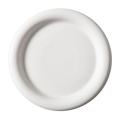 TOPBATHY Elegante Keramik Platte Dicken Rand Matte Pasta Steak Platte Lebensmittel Lagerung Container und Sicher von TOPBATHY
