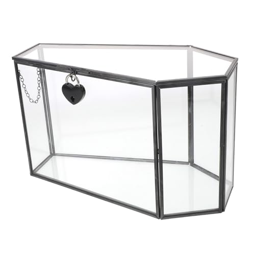 TOPBATHY Handgefertigte Gothische Glasvitrine Mini Sarg Displaybox Transparent Robust Vielseitig für Halloween Dekor Sammlerstücke und Fotokarten von TOPBATHY