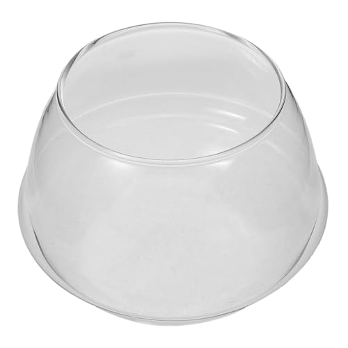 TOPBATHY Lotus und Wasserlilienpflanzer Transparente Vase für Pflanzen Kleiner Glasbehälter für Innendekoration Vielseitige Nutzung für Sukkulenten TOPBATHY Lotus und Wasserlilienpflanzer Transparente Vase für Pflanzen Kleiner Glasbehälter für Innendekoration Vielseitige Nutzung für Sukkulenten von TOPBATHY