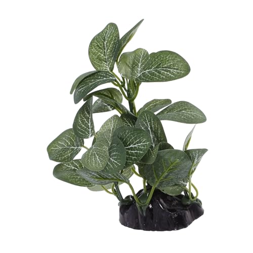 TOPBATHY Realistische Künstliche Wasserpflanzen für Fischkästen Langlebig und Pflegeleicht für Betta Goldfische und Schildkröten TOPBATHY Realistische Künstliche Wasserpflanzen für Fischkästen Langlebig und Pflegeleicht für Betta Goldfische und Schildkröten von TOPBATHY