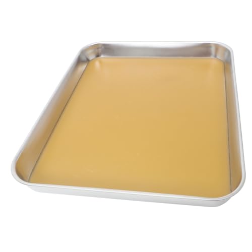 TOPBATHY Stainless Steel Dissection Tray mit Wachsbeschichtung Robuste Labor Tray für Experimente für Studenten Korrosionsbeständig Vielseitig Einsetzbar von TOPBATHY