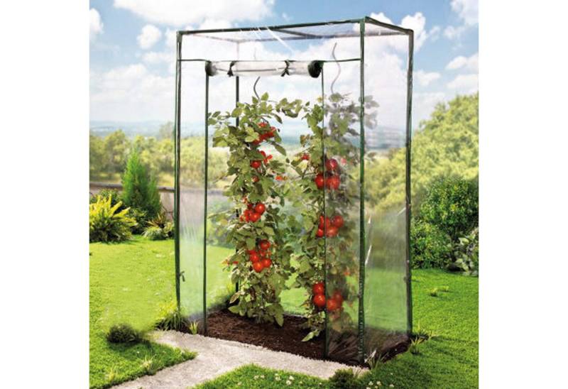 TOPCENT Foliengewächshaus Tomaten-Gewächshaus mit PE-Abdeckung, 100 x 50 x 150 cm von TOPCENT