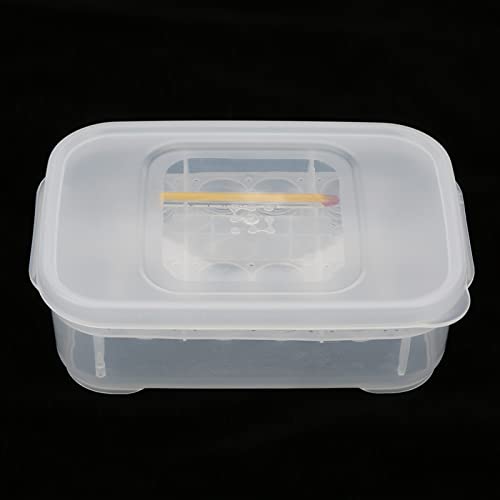 TOPINCN 12 Gitterschlangen Gecko Echsen Reptilien Eier Inkubatorbox mit Thermometer, Geeignet für Kleinere Reptilien, Einfach zu Reinigen TOPINCN 12 Gitterschlangen Gecko Echsen Reptilien Eier Inkubatorbox mit Thermometer, Geeignet für Kleinere Reptilien, Einfach zu Reinigen von TOPINCN