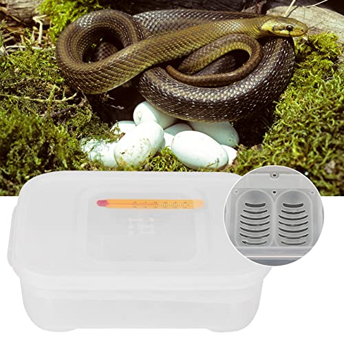 TOPINCN Gecko Lizards Schlangen Reptilien Eier Inkubatorbox mit Thermometer, 12 Gitterdesign, Geeignet Zum Schlüpfen von Eiern, Transparentem Material TOPINCN Gecko Lizards Schlangen Reptilien Eier Inkubatorbox mit Thermometer, 12 Gitterdesign, Geeignet Zum Schlüpfen von Eiern, Transparentem Material von TOPINCN
