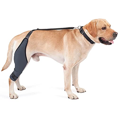 TOPIND Hunde-Kniebandage, Ellenbogenbandage, Kniestütze, Wegfahrsperre, mit Metallstreifen, Hundebeinbandage gegen Verstauchung, Arthrititi, hält das Gelenk warm und stabil (groß (links)) von TOPIND