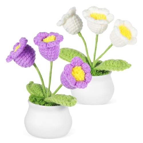 TOPPERFUN 2 Stück Handgefertigte Häkelblumen Dekoration für Auto Büro Zuhause Simulierte Blumenornamente Lila und Weiß Pflegeleicht Robust für Schreibtisch Armaturenbrett TOPPERFUN 2 Stück Handgefertigte Häkelblumen Dekoration für Auto Büro Zuhause Simulierte Blumenornamente Lila und Weiß Pflegeleicht Robust für Schreibtisch Armaturenbrett von TOPPERFUN