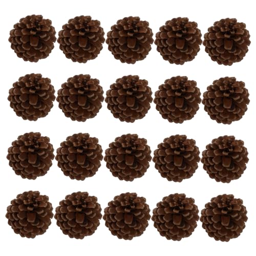 TOPPERFUN 20 Stück Getrocknete Kiefernzellenblütenzutaten Rustikal Dekoration Schüttgut Mini-tannenzapfen Basteln Tannenzapfen Für Handwerk Herstellen Kiefernzapfen von TOPPERFUN